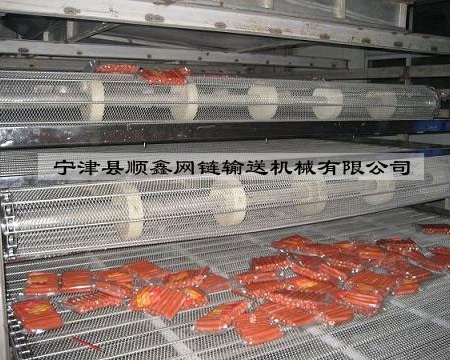 广东食品网带