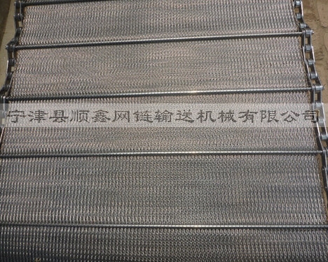 广东人字型链条网带